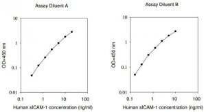 Human sICAM1 ELISA Kit RAB0219-1KT