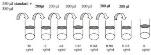 Human Siglec-9 ELISA Kit RAB0434-1KT