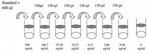 Human Tie-1 ELISA Kit RAB0465-1KT