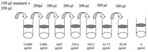 Human Tie-2 ELISA Kit RAB0457-1KT