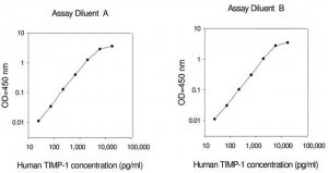 Human TIMP-1 ELISA Kit RAB0466-1KT