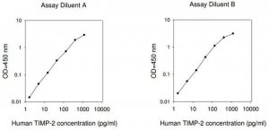 Human TIMP-2 ELISA Kit RAB0472-1KT