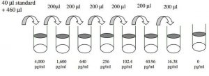 Human TRAIL R3 ELISA Kit RAB0482-1KT