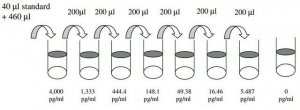 Human TRAIL R4 ELISA Kit RAB0483-1KT