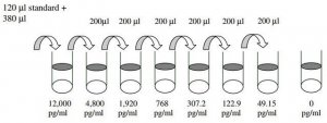 Human TROP1 / EpCAM ELISA Kit RAB0172-1KT