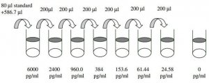 Human Tumor Necrosis Factor ELISA Kit RAB0476-1KT