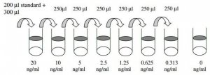 Human VEGF-D ELISA Kit RAB0190-1KT