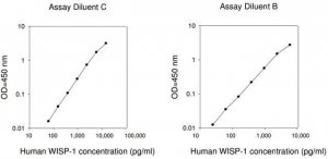 Human WISP-1 / CCN4 ELISA Kit RAB0514-1KT