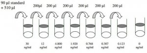 Mouse ACE ELISA Kit RAB0002-1KT