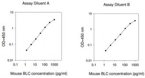 Mouse BLC / CCL13 ELISA Kit RAB0046-1KT