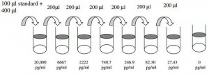 Mouse CD36 ELISA Kit RAB0084-1KT
