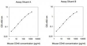 Mouse CD40 ELISA Kit RAB0086-1KT
