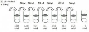 Mouse Dkk-1 ELISA Kit RAB0144-1KT