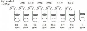 Mouse Eotaxin-2 ELISA Kit RAB0067-1KT
