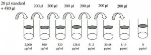 Mouse Galectin-3 ELISA Kit RAB0336-1KT