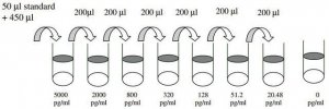 Mouse Growth Arrest Specific 6 ELISA Kit RAB0338-1KT