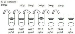 Mouse ICAM-1 ELISA Kit RAB0220-1KT