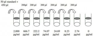 Mouse IFN- ELISA Kit RAB0224-1KT