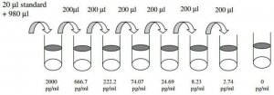 Mouse IGF-I ELISA Kit RAB0229-1KT