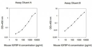 Mouse IGFBP-6 ELISA Kit RAB0241-1KT