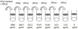 Mouse IL-12 P40/70 ELISA Kit RAB0255-1KT