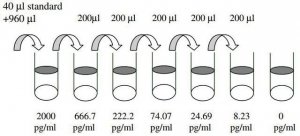 Mouse IL-13 ELISA Kit RAB0257-1KT