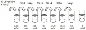 Mouse IL-21 ELISA Kit RAB0289-1KT