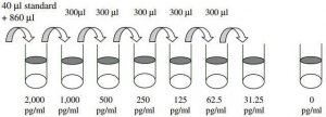 Mouse LIX / CXCL5 ELISA Kit RAB0131-1KT