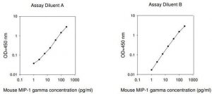 Mouse Macrophage Inflammatory Protein 1- / CCL9-CCL10 ELISA Kit RAB0080-1KT