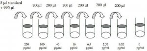 Mouse Macrophage Inflammatory Protein 1- / CCL9-CCL10 ELISA Kit RAB0080-1KT
