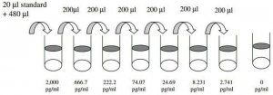 Mouse MIG / CXCL9 ELISA Kit RAB0139-1KT
