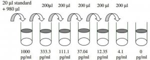 Mouse MIP-1 / CCL3 ELISA Kit RAB0074-1KT