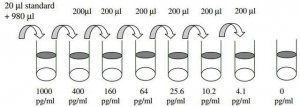 Mouse MIP-3 / CCL19 ELISA Kit RAB0053-1KT
