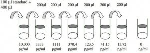 Mouse MMP-3 ELISA Kit RAB0368-1KT