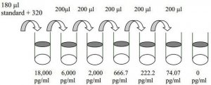 Mouse pro-MMP-9 ELISA Kit RAB0373-1KT