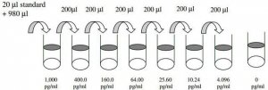 Mouse Resistin ELISA Kit RAB0416-1KT