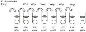 Mouse SDF-1 / CXCL12 ELISA Kit RAB0125-1KT