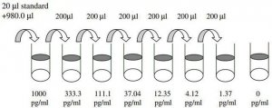 Mouse TIMP-1 ELISA Kit RAB0469-1KT