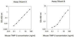 Mouse TIMP-2 ELISA Kit RAB0473-1KT