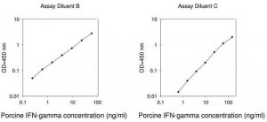 Porcine IFN ELISA Kit RAB0226-1KT