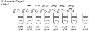 Porcine IL-1 / IL-1F2 ELISA Kit RAB0276-1KT