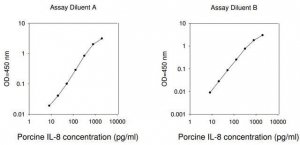 Porcine IL-8 ELISA Kit RAB0321-1KT