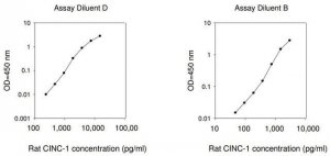 Rat CINC-1 ELISA Kit RAB0118-1KT