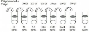 Rat CRP/C-Reactive Protein ELISA Kit RAB0097-1KT