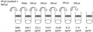 Rat Fractalkine ELISA Kit RAB0115-1KT