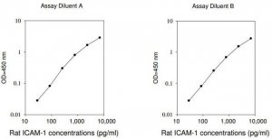Rat ICAM-1 ELISA Kit RAB0221-1KT