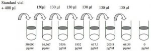 Rat IL-1 ELISA Kit RAB0278-1KT