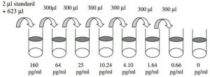 Rat IL-4 ELISA Kit RAB0301-1KT