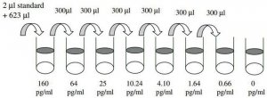 Rat IL-4 ELISA Kit RAB0302-1KT