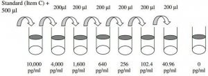 Rat Interleukin-6 ELISA Kit RAB0312-1KT